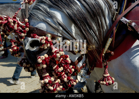 Spanien Andalusien Sevilla Dekorationen auf Pferden eine Kalesche Beförderungsvertrag während der Feria De Abril Stockfoto