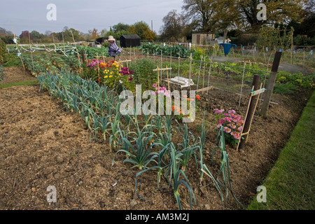 Lauch und Blumen wachsen auf lokalen Zuteilung mit Vogelscheuchen und Scheunen Blockley in der Nähe von Chipping Campden Cotswolds UK Stockfoto