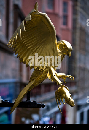 Diese golden Hawk und Ratte Skulptur sitzt oben auf einer Straße Wegweiser in Edinburgh High Street, Royal Mile, Schottland. Stockfoto
