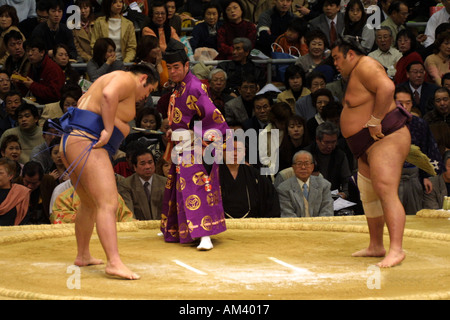 Sumo-Ringer vorbereiten für das Pre-Kampf-Ritual im Frühjahr Sumo-Turnier in Osaka Japan Asien, beliebt bei Touristen Kansai Stockfoto