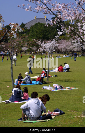 Japanische Familien genießen Parteien Kirschblüte Hanami auf dem Gelände des Nara-Park vor Todaiji Tempel Nara Japan Stockfoto