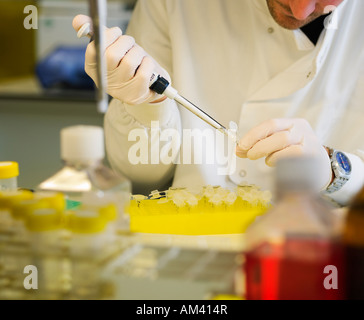 Arbeit klinischen Forschung Laboruntersuchungen. Keine Freigabe erforderlich, da Gesicht so unkenntlich Person in Schuss beschnitten Stockfoto