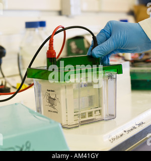 Laborarbeit klinischen Forschung Test Equipment Spezialist klinische Maschine Sensor Maßnahme entdecken Menschen untersuchen Stockfoto