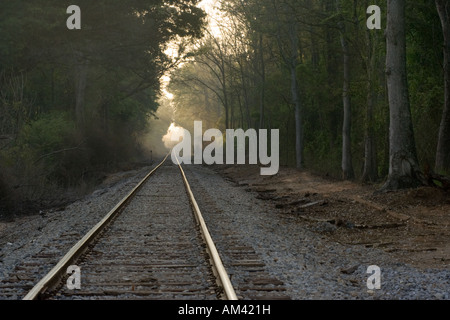 Bound For Glory - Zug der Illinois Central Gulf Railroad tracks Stockfoto