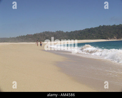 Oaxaca Huatulco Maguey Strand Mexiko Stockfoto