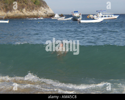 Oaxaca Huatulco Maguey Strand Mexiko Stockfoto