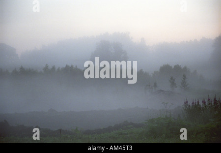 Am frühen Morgen Stille am Mengeli in Vidzeme Landschaft von Lettland Stockfoto