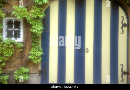 Europa, Deutschland, Bayern, Augsburg, Efeu bedeckt, Mauer und Tor Stockfoto