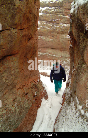 Wandern in Chirichahua Wilderness Park im Winter. Stockfoto