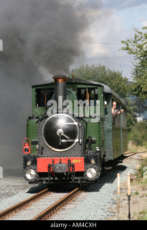 Zug auf Weshpool und LLanfair helles Gleis. Stockfoto