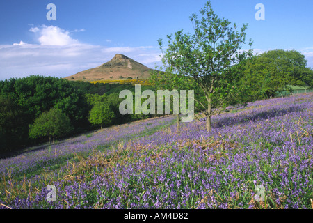 Nähe Belag von oben Great Ayton Dorf mit Glockenblumen im Vordergrund Stockfoto