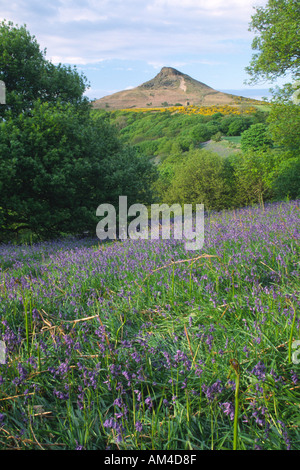 Nähe Belag von oben Great Ayton Dorf mit Glockenblumen im Vordergrund Stockfoto