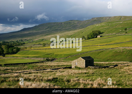 Wildblumenwiese unter Mallerstang Rand in Cumbria Stockfoto