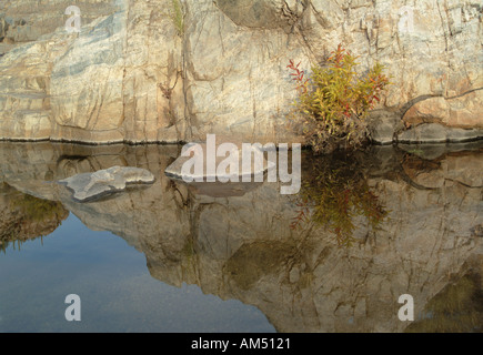 Pool von ruhigem Wasser und Reflexionen von einer Klippe im amerikanischen Südwesten Stockfoto