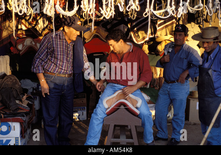 Central Valley ein chilenischer Cowboy versucht einen neuen Sattel bei einem Rodeo-Wettbewerb Stockfoto