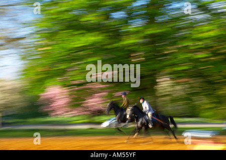 zwei Reiter im Hyde Park früh an einem Frühlingsmorgen London England UK NR Stockfoto