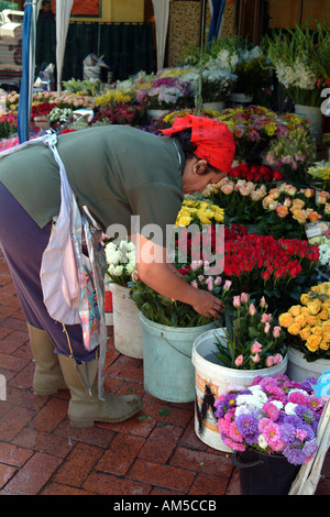 Kapstadt Südafrika RSA Blumenverkäuferin an der Adderley Street Stockfoto