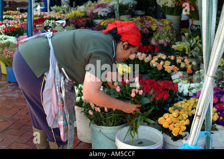 Kapstadt Südafrika RSA Blumenverkäuferin an der Adderley Street Stockfoto