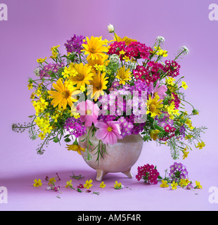 Studio arrangiert bunten Strauß Strauß blühender Frühling Blumen auf eine violette pastel Hintergrund Stockfoto