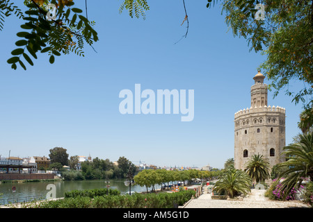 Torre del Oro Fluss Guadalquivir Sevilla Andalusien Spanien Stockfoto