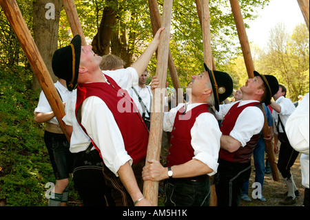 Einrichten der Maibaum, Graming, Upper Bavaria, Bavaria, Germany Stockfoto