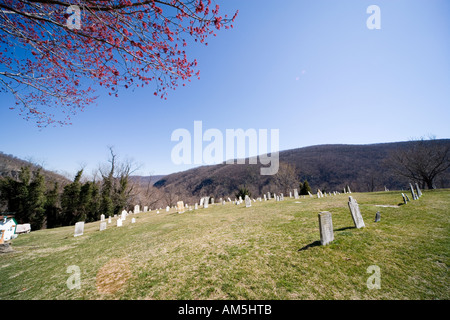 Reihen von Grabsteinen auf historischen Friedhof bei Harpers Ferry unter frühen Frühling blühen. Stockfoto