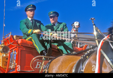 Veterans Day Parade St Louis MO Stockfoto