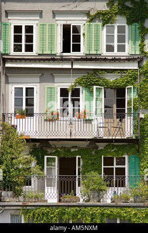 Fassade eines Hauses, japanische Schlingpflanze (Parthenocissus Tricuspidata), Altstadt, Luzern, Schweiz, Europa Stockfoto