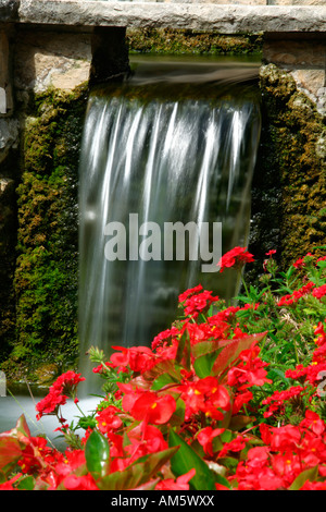 Rote Blumen an einem kleinen Wasserfall im Garten Stockfoto