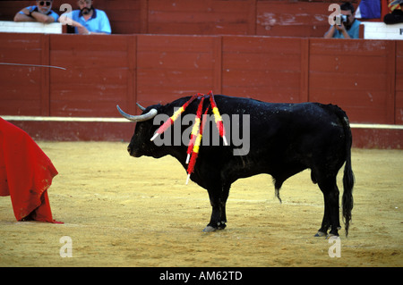 Jerez De La Frontera im Moment, den der Stier getötet wird Stockfoto
