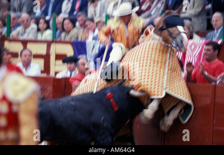 Jerez De La Frontera ein Picador auf dem Pferderücken in Schwierigkeiten Stockfoto