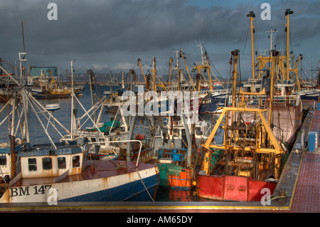 Baumkurrentrawlern wartet auf die Flut zu ändern, damit sie zur See. Stockfoto