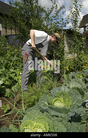 Gärtner arbeitet in einer ökologischen Garten, Anbau von Gemüse im eigenen Garten Stockfoto