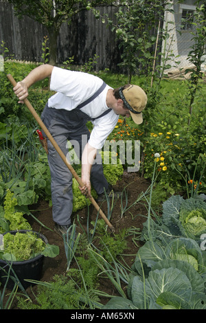 Gärtner arbeitet in einer ökologischen Garten, Anbau von Gemüse im eigenen Garten Stockfoto