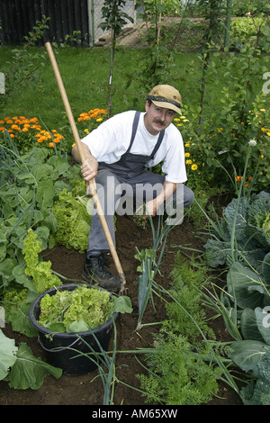 Gärtner arbeitet in einer ökologischen Garten, Anbau von Gemüse im eigenen Garten Stockfoto