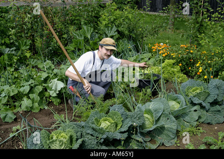Gärtner arbeitet in einer ökologischen Garten, Anbau von Gemüse im eigenen Garten Stockfoto