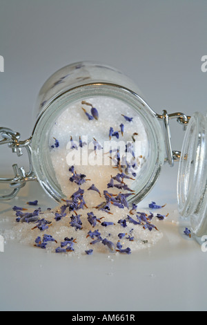 Fein gemasertem Zucker mit getrockneten Lavendelblüten in einem konservierenden Glas Stockfoto