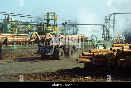 Willamette Branchen Sägemühle in Dallas Oregon USA Stockfoto