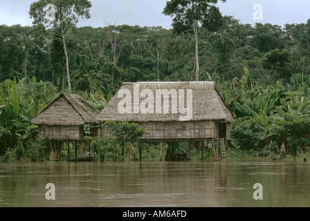 Siedler-Hütte gebaut auf Pfählen am Ufer des Amazonas Flusses Nebenfluss in Peru Regenwald Foto c1971 Stockfoto