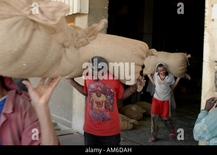 Äthiopische Männer mit 60kg Säcke Kaffee im Central warehouse-Addis Ababa, Äthiopien Stockfoto