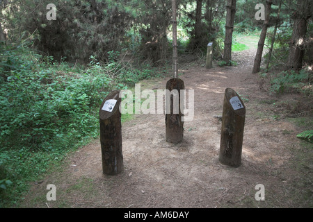 Landeplatz von UFO Rendlesham Forest, Suffolk, England Stockfoto