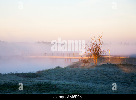 Am frühen Morgen Nebel / Nebel über dem Fluss Avon Causeway, Christchurch, Dorset. VEREINIGTES KÖNIGREICH. Boden Frost am grünen Ufer des Flusses. Stockfoto