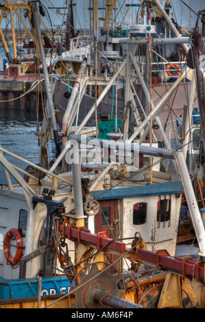 Baumkurrentrawlern wartet auf die Flut zu ändern, damit sie zur See. Stockfoto