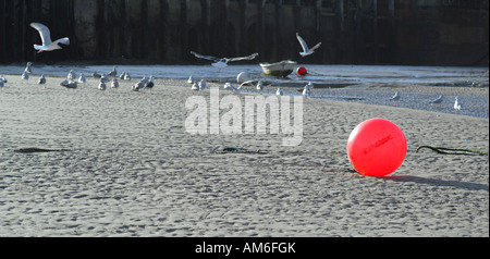 Folkestone Hafen im Winter bei Ebbe Stockfoto