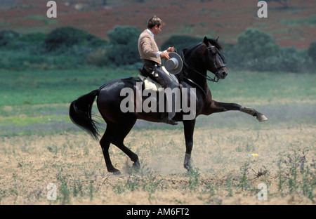 Torrestrella Estate Antonio Domecq auf seinem andalusischen Pferd zeigt einige tricks Stockfoto