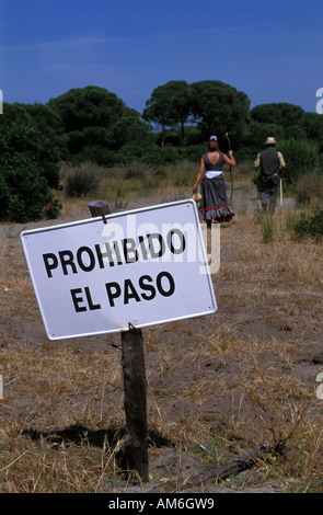 Die Wallfahrt nach El Rocio führt durch den Nationalpark Coto Donana ist normalerweise tabu Stockfoto