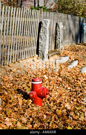 Kleinen Hydranten fast begraben Blätter in Massachusetts Stockfoto