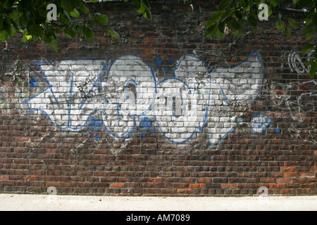 Graffiti auf eine Unterführung in Swindon, Wiltshire Stockfoto