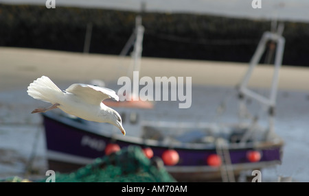 Folkestone Hafen im Winter bei Ebbe Stockfoto