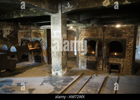 Feuerbestattung Öfen KZ Auschwitz-Birkenau Stockfoto